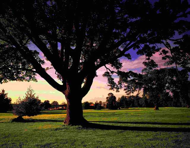 Meon Valley Hotel & Country Club - Meon Course - photo 3