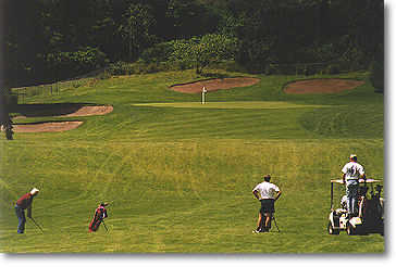 Rose City Golf Course - photo 7