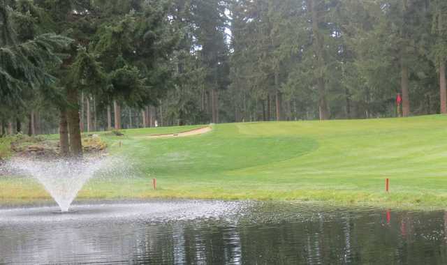 Lipoma Firs Golf Course - photo 1