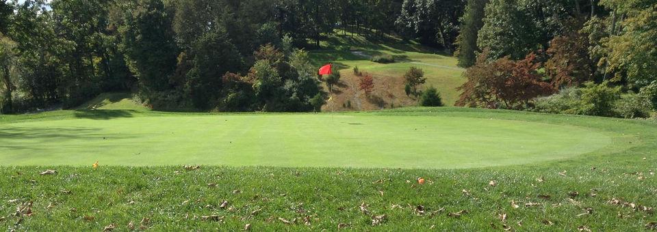 Glen Brook Golf Club - photo 4