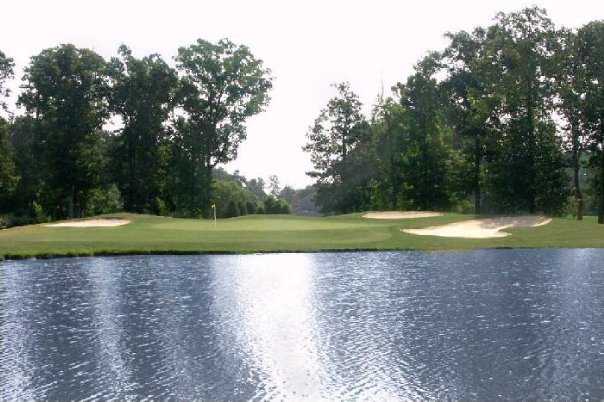 Honey Bee Golf Club - photo 4