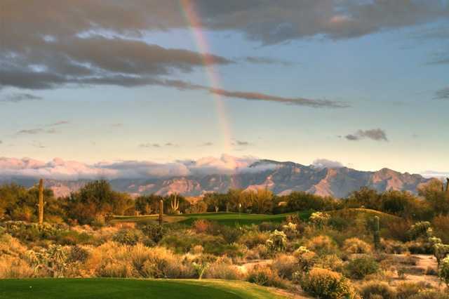 The Highlands at Dove Mountain - photo 4