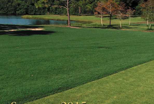 Suntree Country Club - photo 3