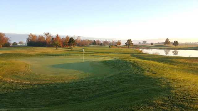 Shady Oak Dunes