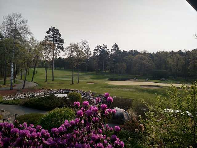 The Pines At Grand View Lodge - photo 8