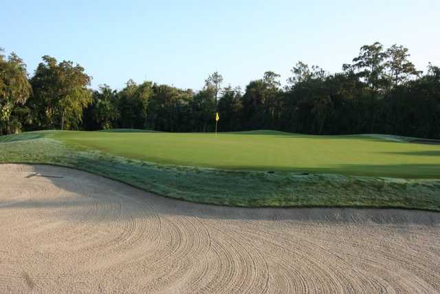 Olde Florida Golf Club - photo 3