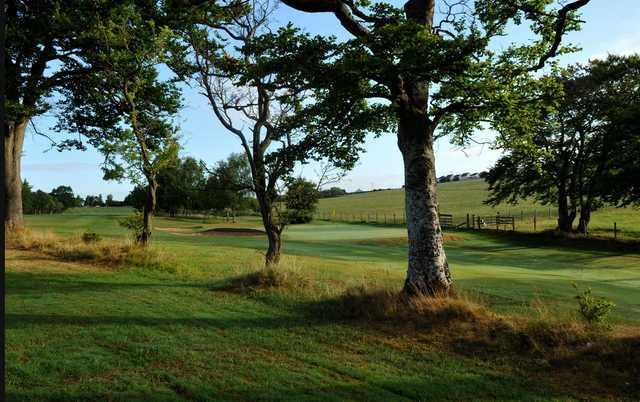 Carluke Golf Club - photo 3
