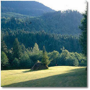Mt. Hood Oregon Resort - photo 4