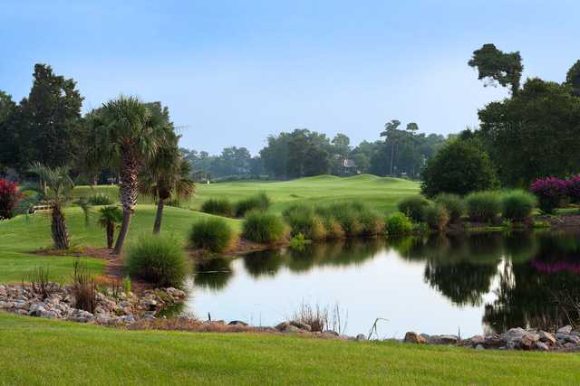 Sea Trail Golf Resort - The Rees Jones Golf Course - photo 2