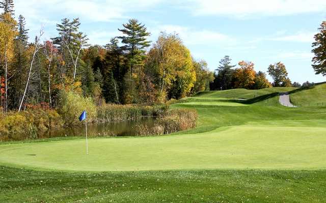 Innisbrook Golf Course - photo 3