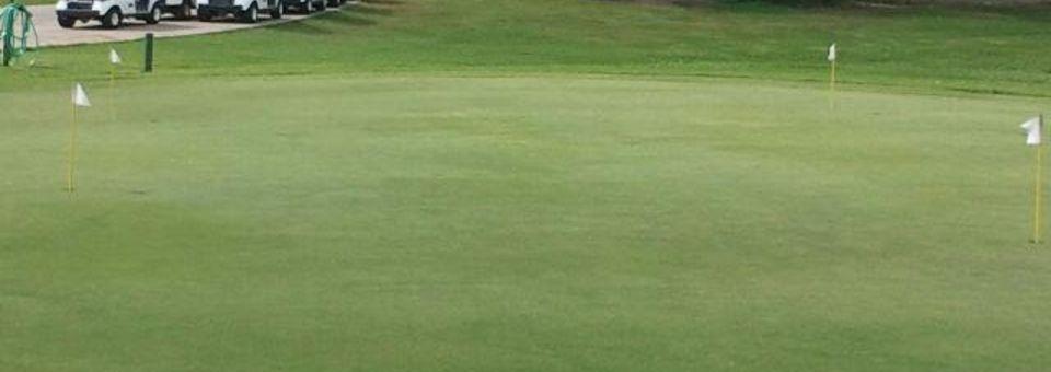 Henry Homberg Municipal Golf Course - photo 3