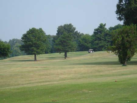 Pine Hill - photo 3