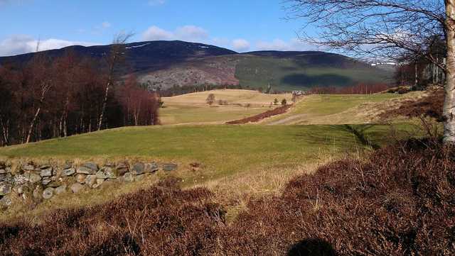 Braemar Golf Club - photo 6
