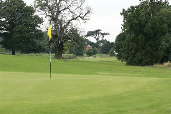 Norwood Park Golf Course - photo 5