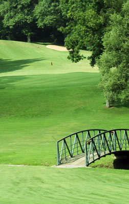 Sunnyhill Golf & Recreation - photo 3