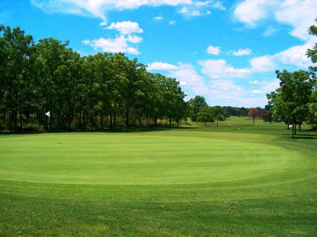 Tyler Creek Golf - photo 4