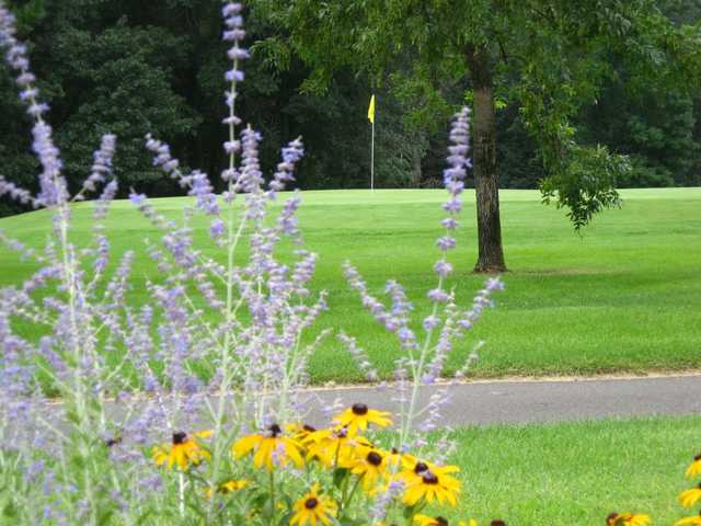 Carefree Country Club - photo 3