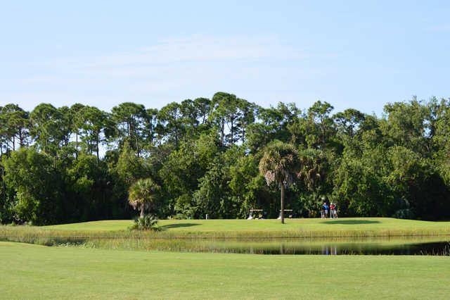 Martin County Golf & Country Club - photo 6
