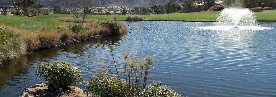 Desert Willow Golf Course - photo 3