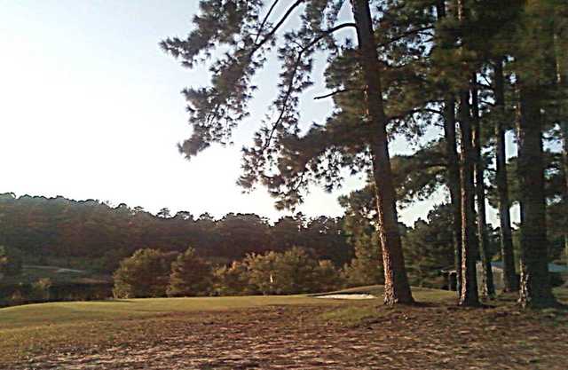 Loch Haven Golf Course - photo 2