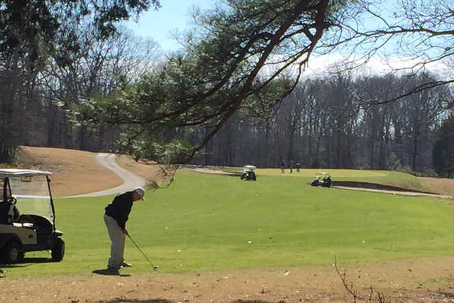 Paris Landing State Park Golf Course - photo 2