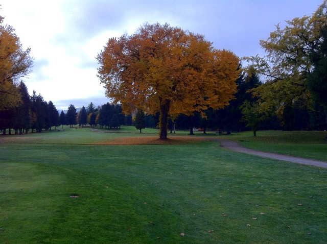 Birchbank Golf Course - photo 1