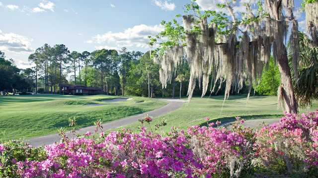 Gainesville - photo 3