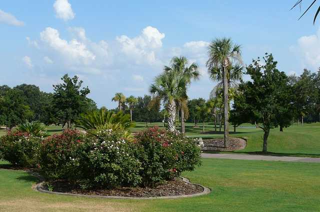 The Links Club at Spruce Creek South - photo 2