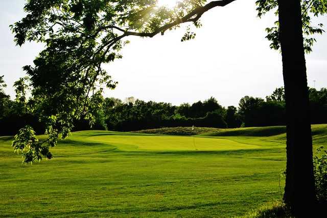Greentree