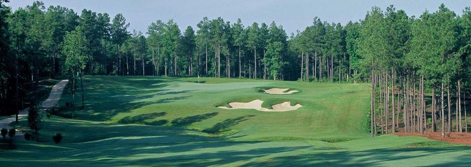 Independence Golf Club - Short Course - photo 3