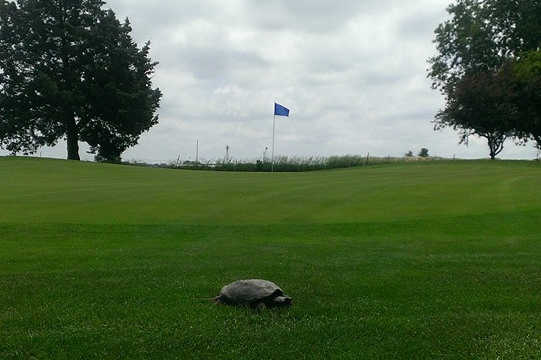 Hebron Country Club - photo 3