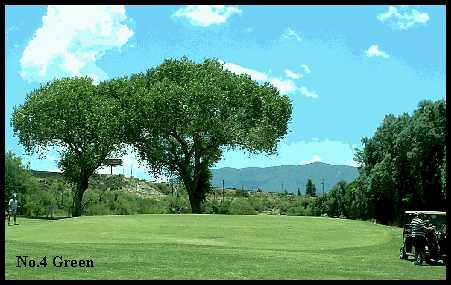 Cobre Valle Country Club - photo 2