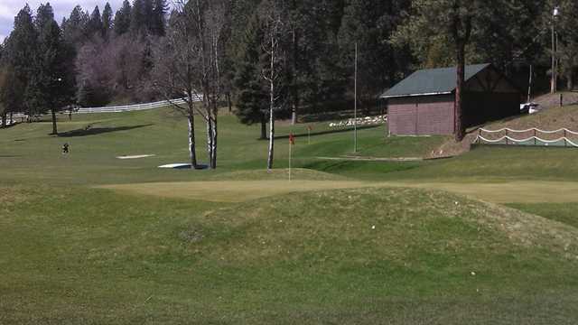 Ponderosa Springs - photo 1