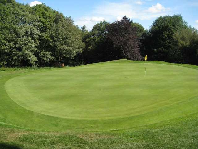 Hillsborough Golf Club - photo 4