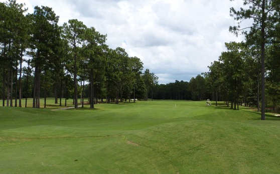The Club at Pine Forest - photo 2
