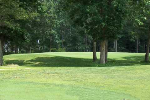 Pines at Clermont - photo 5