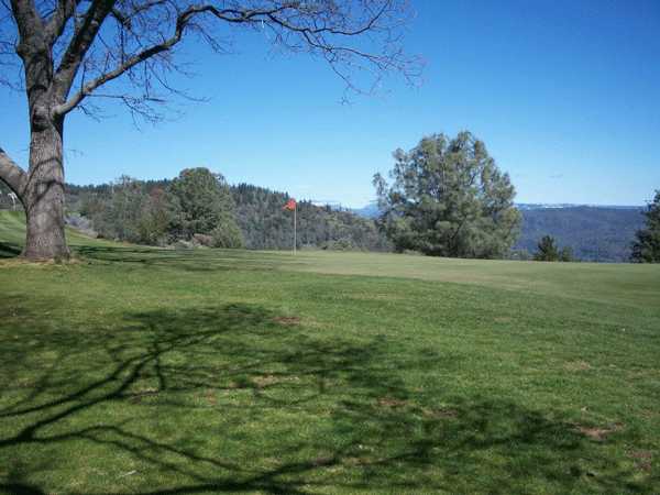 Murphys 9 - photo 5