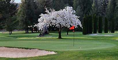 Snoqualmie Falls Golf Course - photo 2