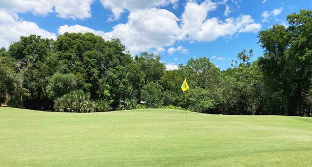 Halifax Plantation Golf Club - photo 8