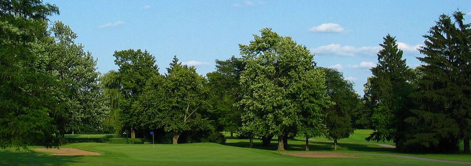 Cog Hill Golf & Country Club Course No. 3 - photo 4