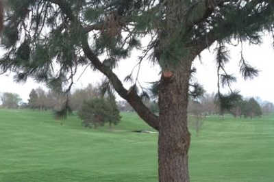 Mahoney Golf Course - photo 4