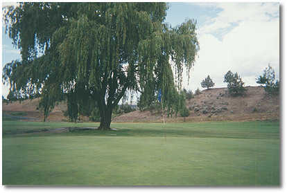 John Day Golf Club, Inc. - photo 4