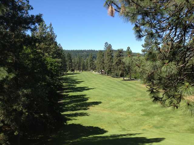 Downriver Golf Course - photo 3