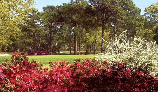 Sunkist Country Club - photo 4