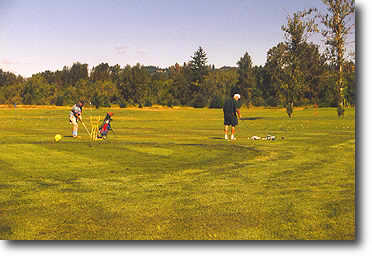 Salem Golf Club - photo 5