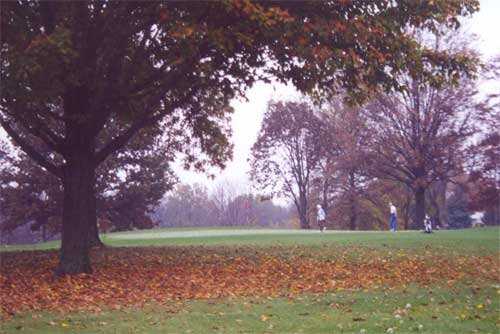 Shoaff Park Golf Course - photo 2