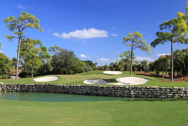 Adios Golf Club - photo 2
