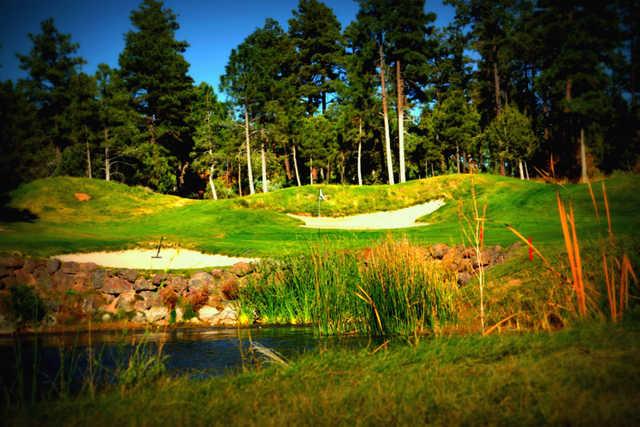 Torreon Golf Club - photo 4