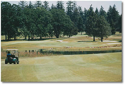 RedTail Golf Center - photo 8