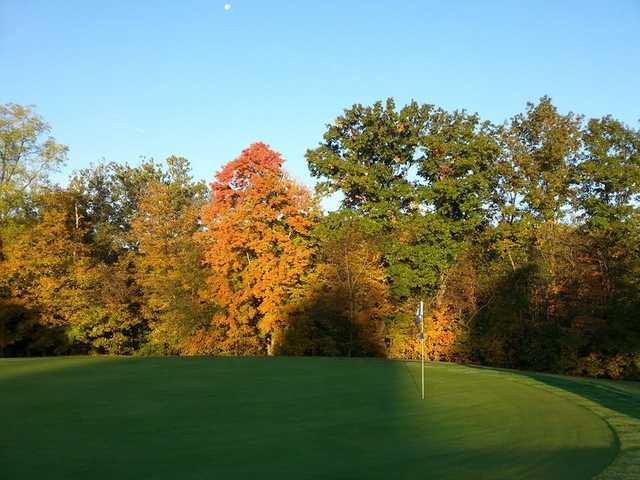 East Palestine 1 - photo 3